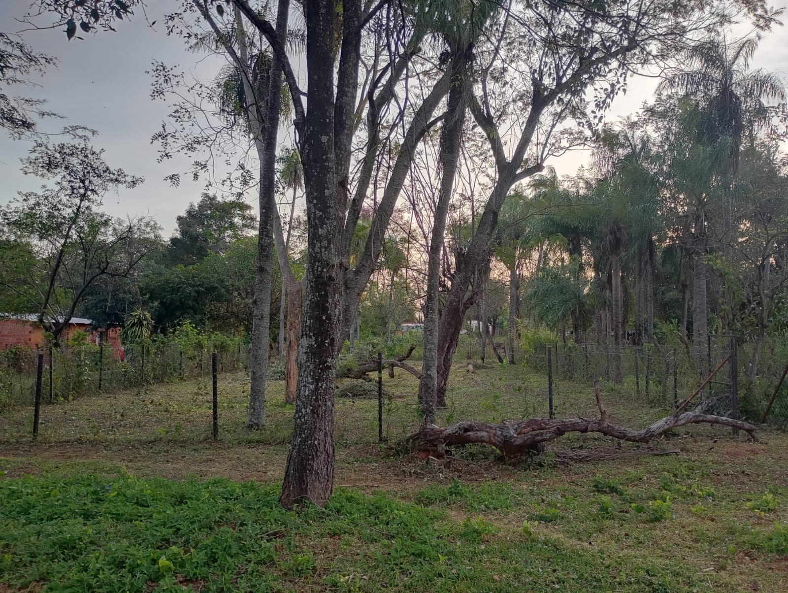 Terreno en caacupemi - areguá, foto 2