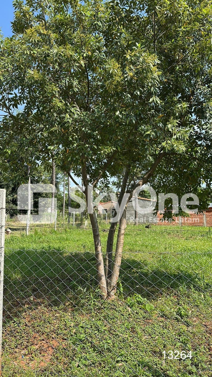 TERRENO EN AREGUA: Urbanización "Las Carmelitas, foto 2