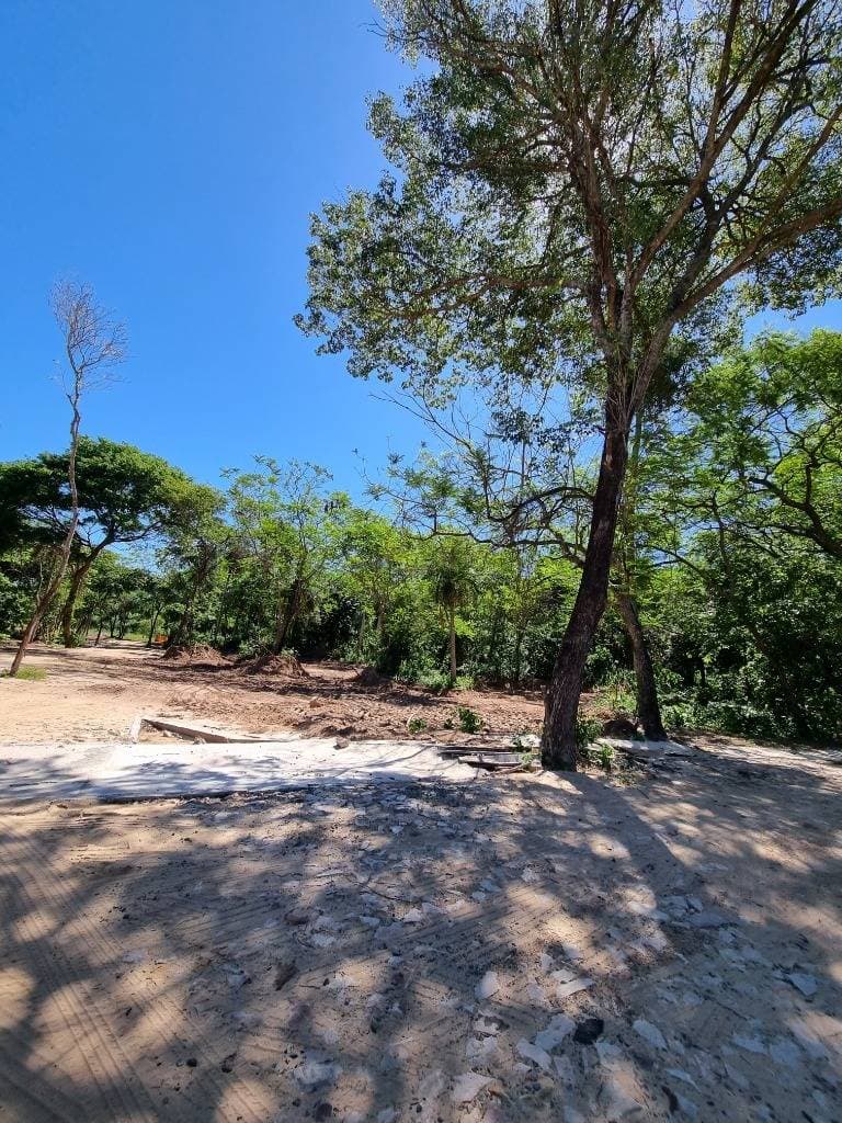 Terreno en Piedras Blancas - San Bernardino, foto 2