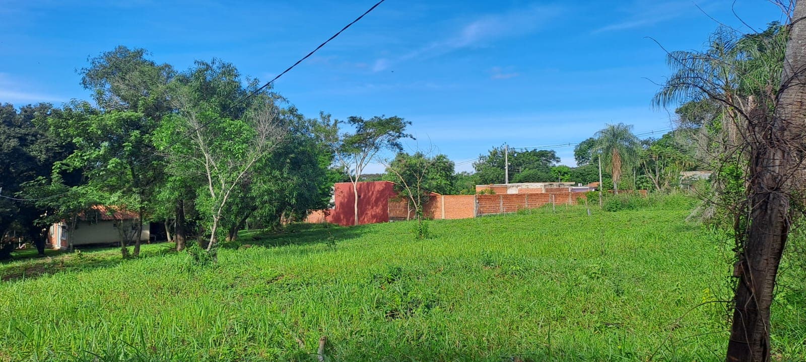 De 3 Terrenos Contiguos En Limpio IDEAL QUINTA o DESARROLLO, foto 3