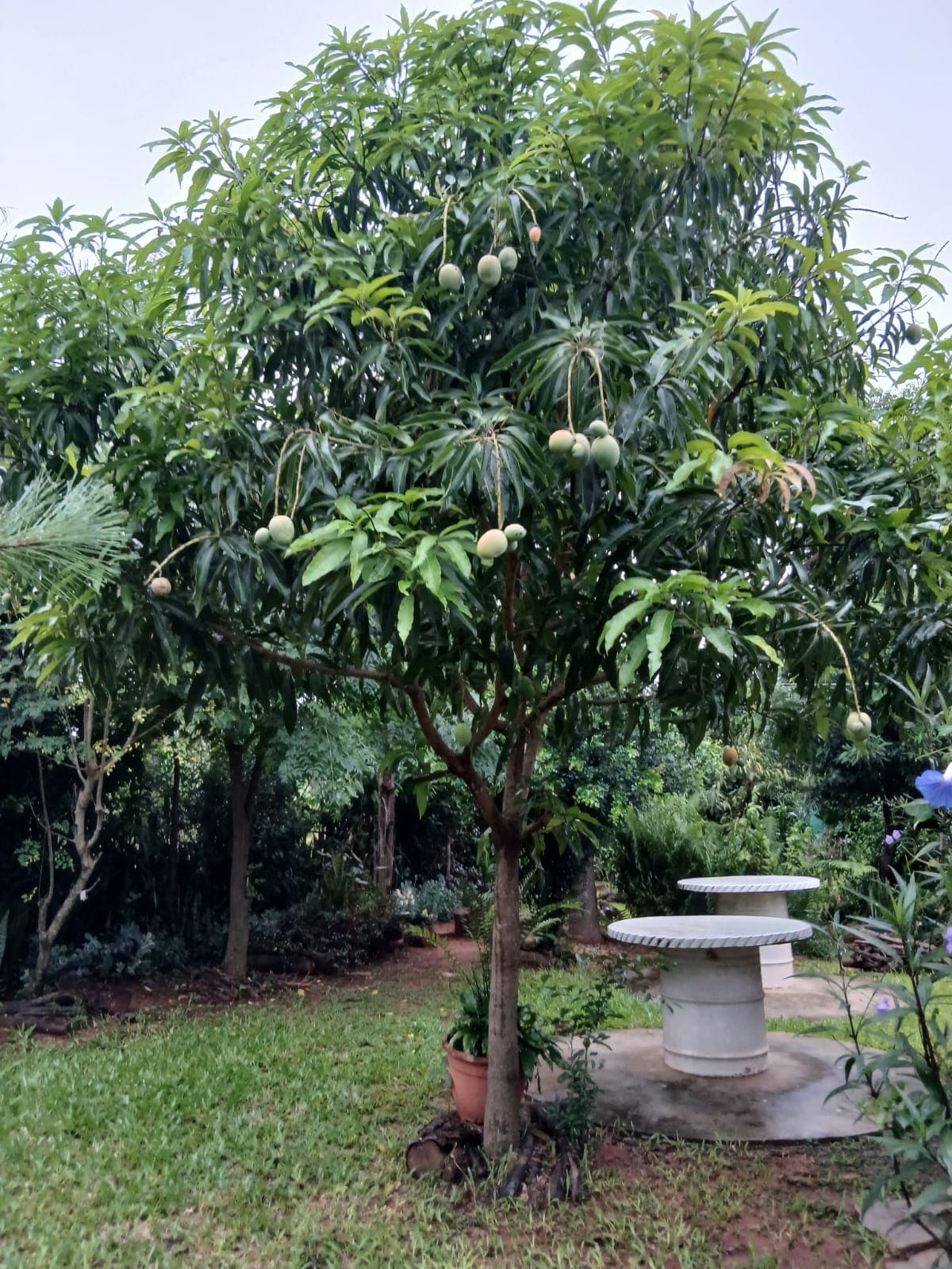 Casa en Ypane, foto 3