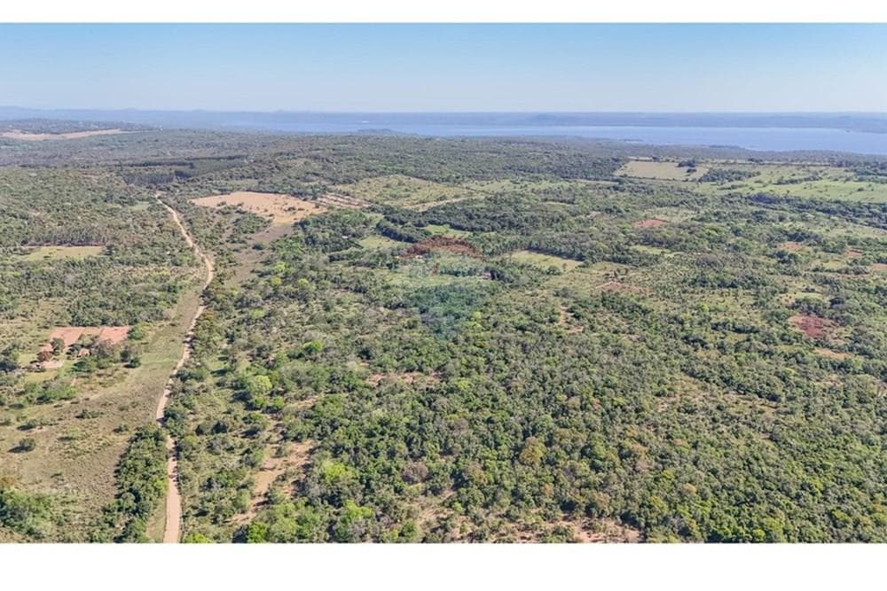 ¡En Venta ! terreno 6 Hectáreas