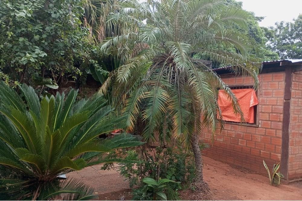 Terreno con casa paiñu Ñemby gran ubicacion, foto 4