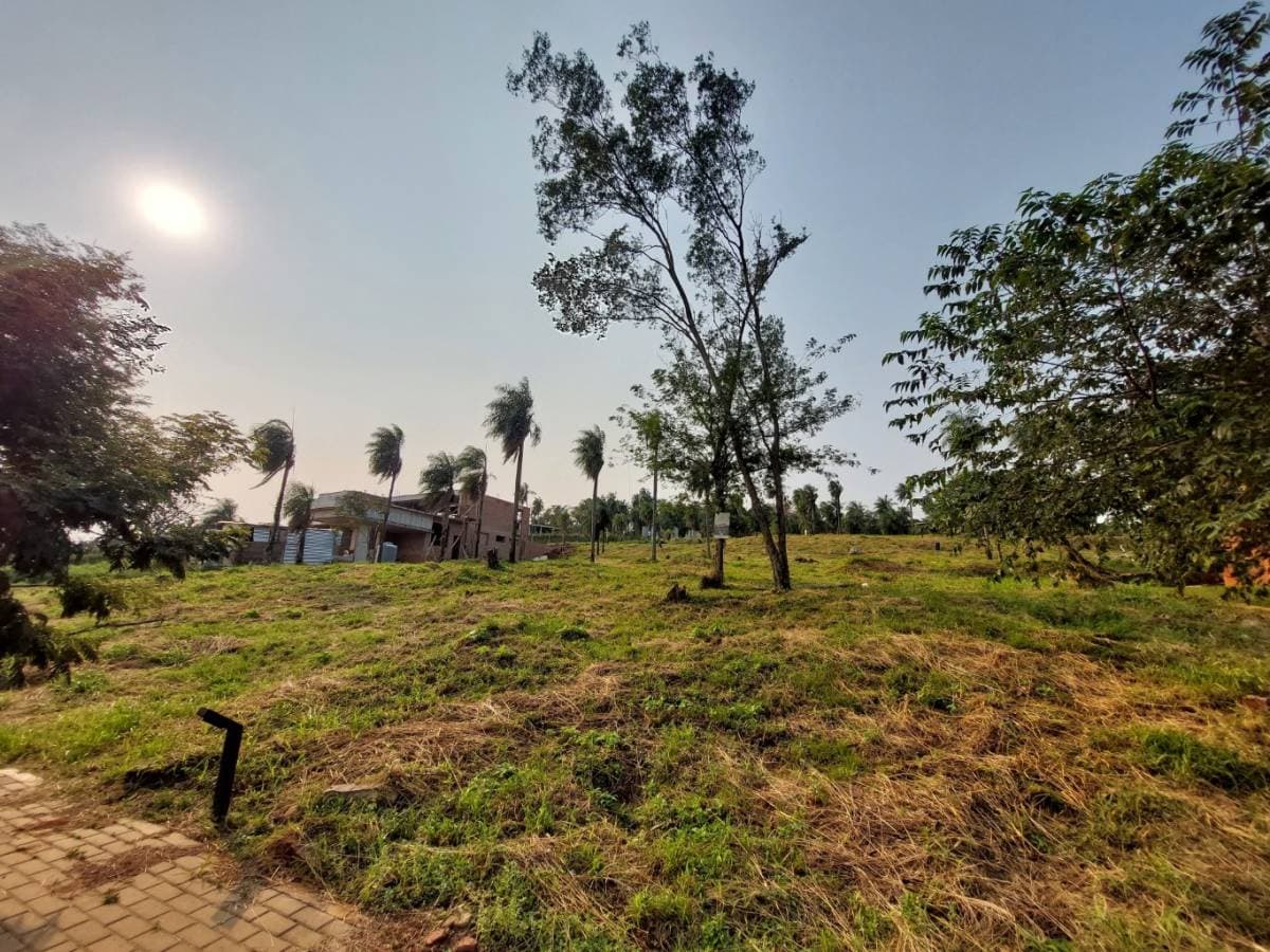Lote en barrio cerrado serendipia San Bernardino, foto 5