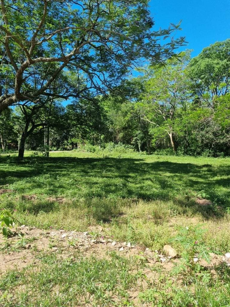 Terreno en Piedras Blancas - San Bernardino, foto 4