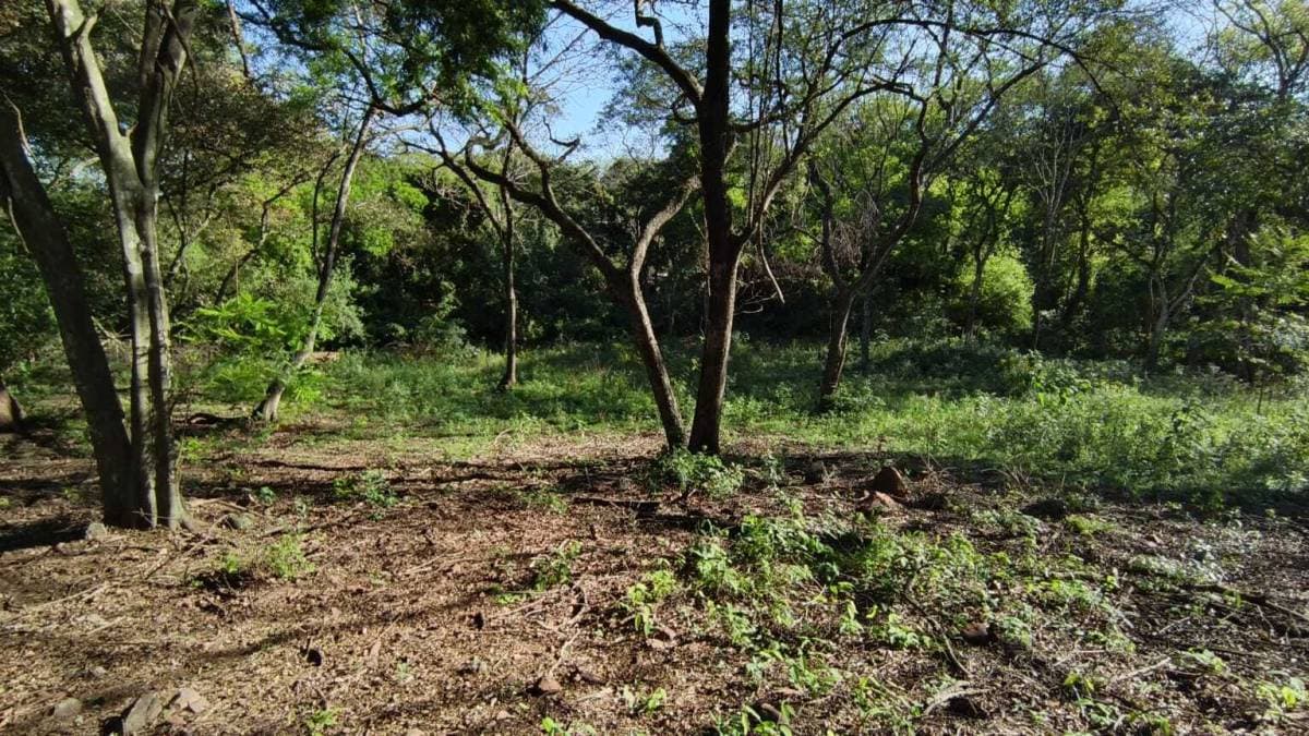 Oportunidad Única: Amplio Terreno en Zona Residencial de Alto Crecimiento Luque, foto 4