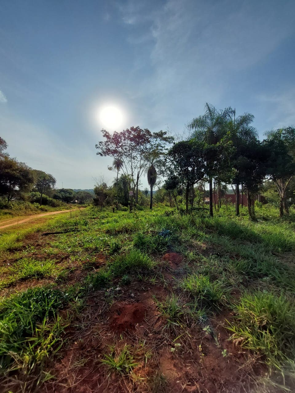 3 terrenos en ypané – paso de oro, foto 2