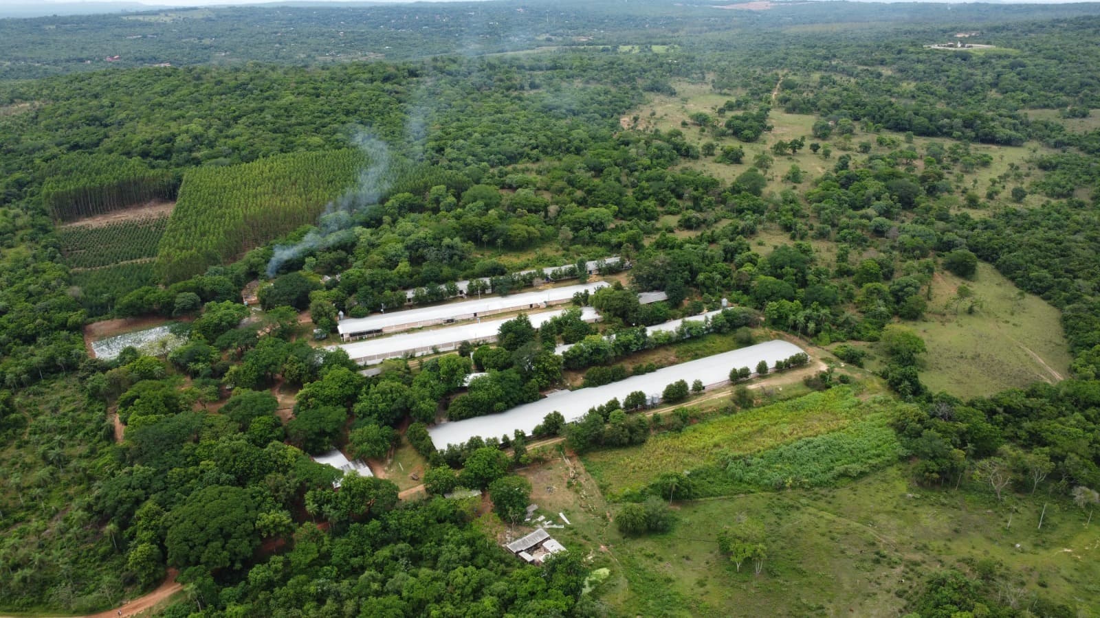 Granja Avícola En Altos — foto 4