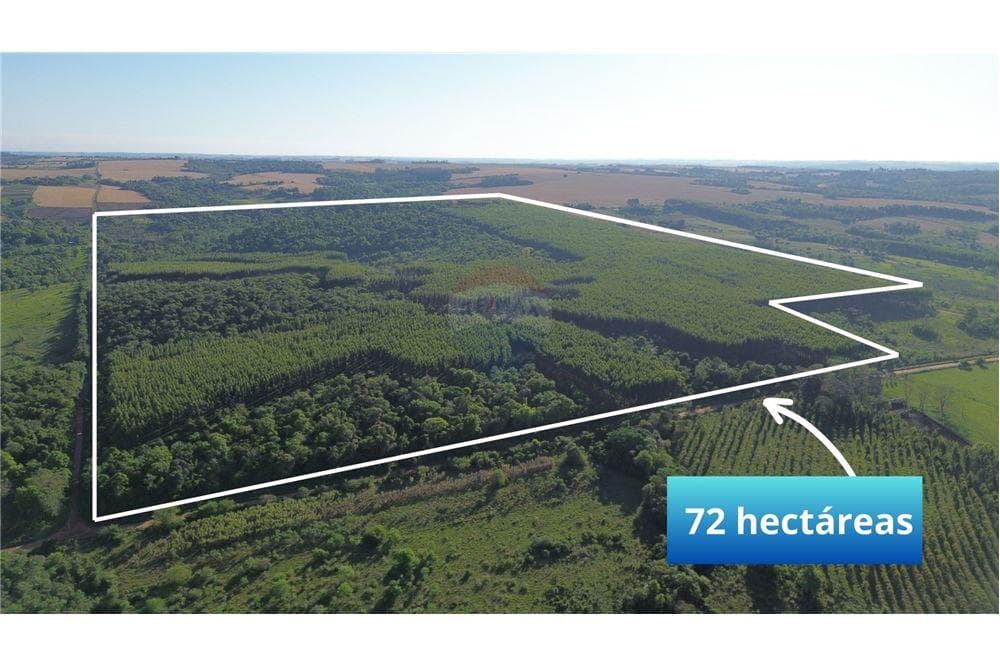 72 hectareas ideal agroforestal en Trinidad itapua, foto 1