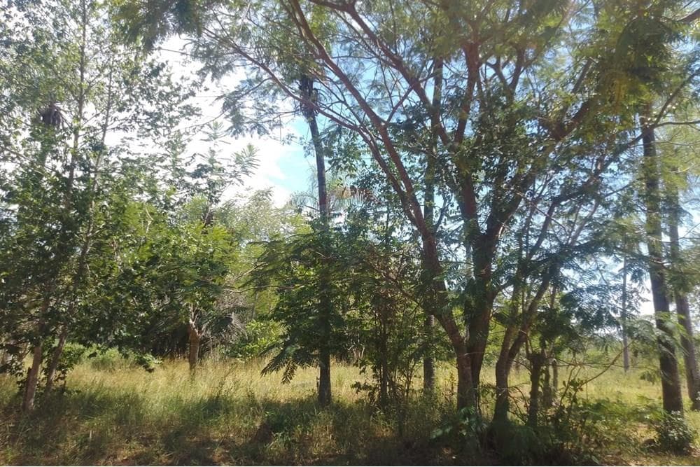 Terreno en esquina en Aregua, foto 3