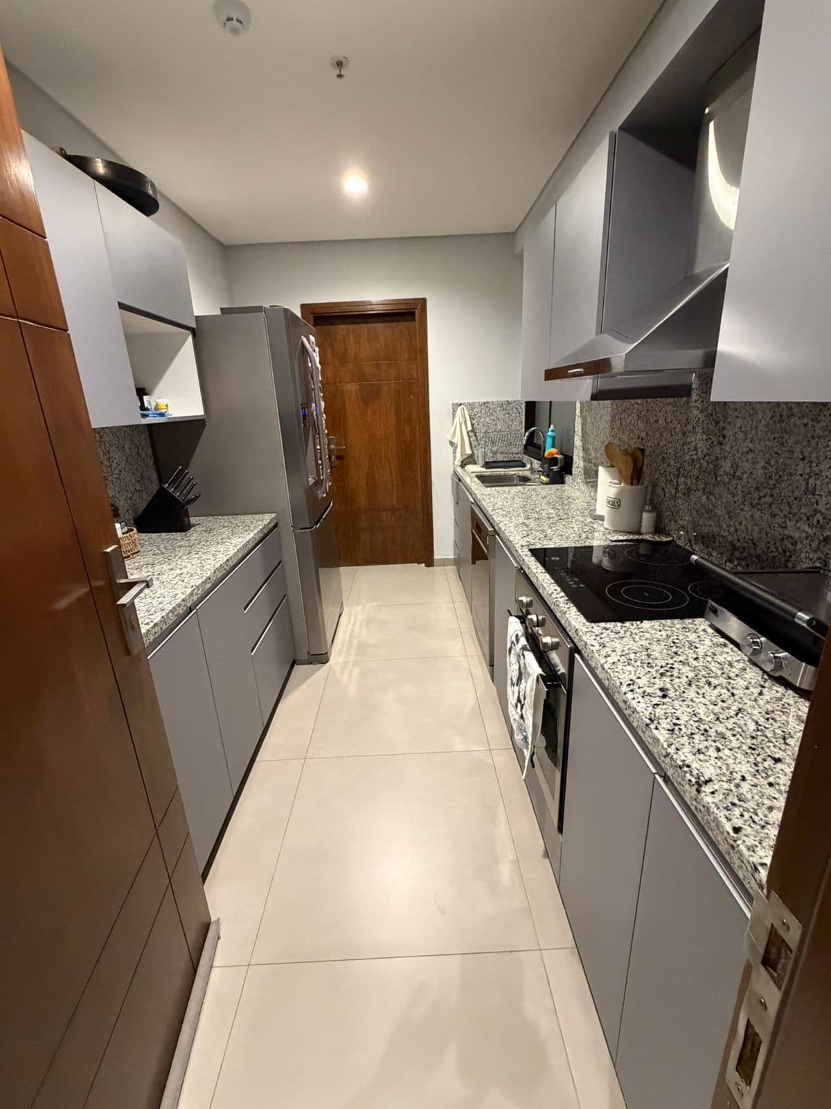 Avda. Molas lópez, en alquiler y venta, departamento amoblado de 2 dormitorios, foto 4