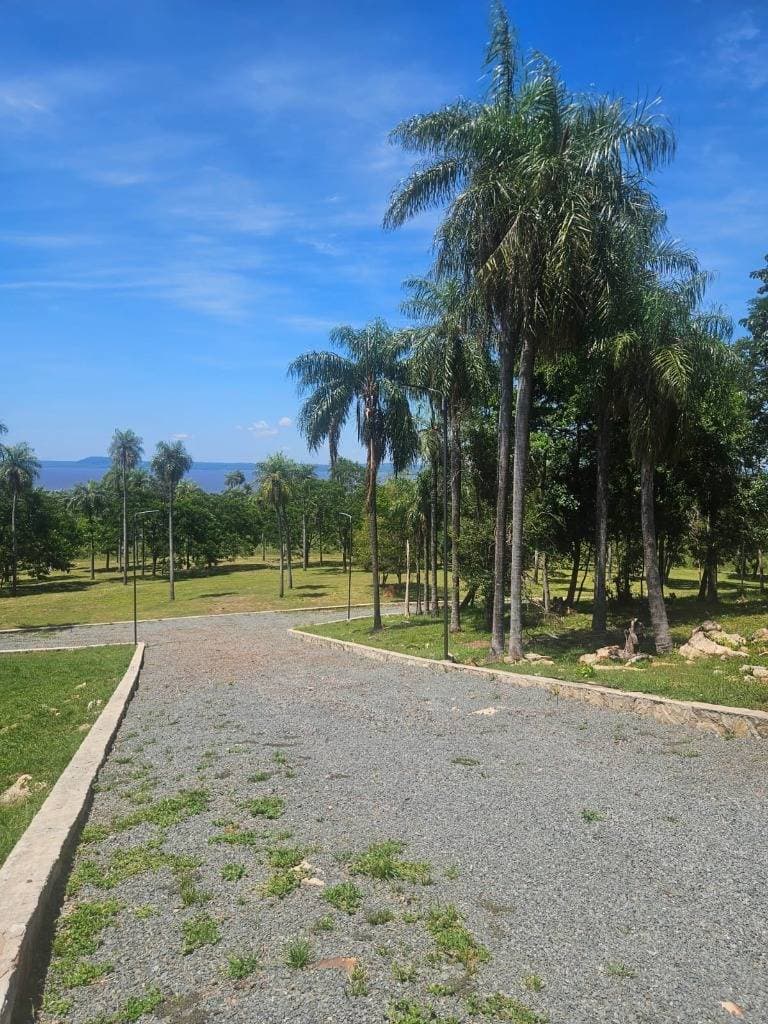 Terrenos en San Bernardino, foto 5
