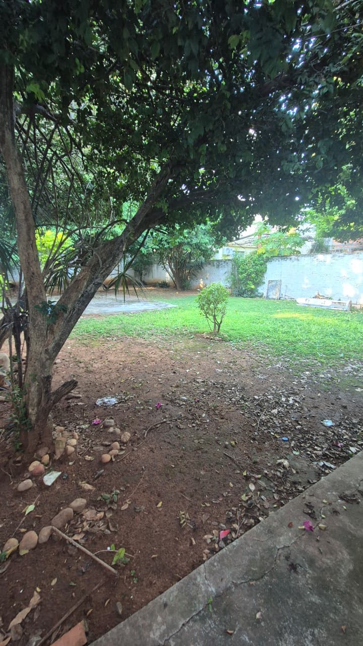 O vendo casa para oficina o consultorio en Recoleta – Villa Morra, foto 2