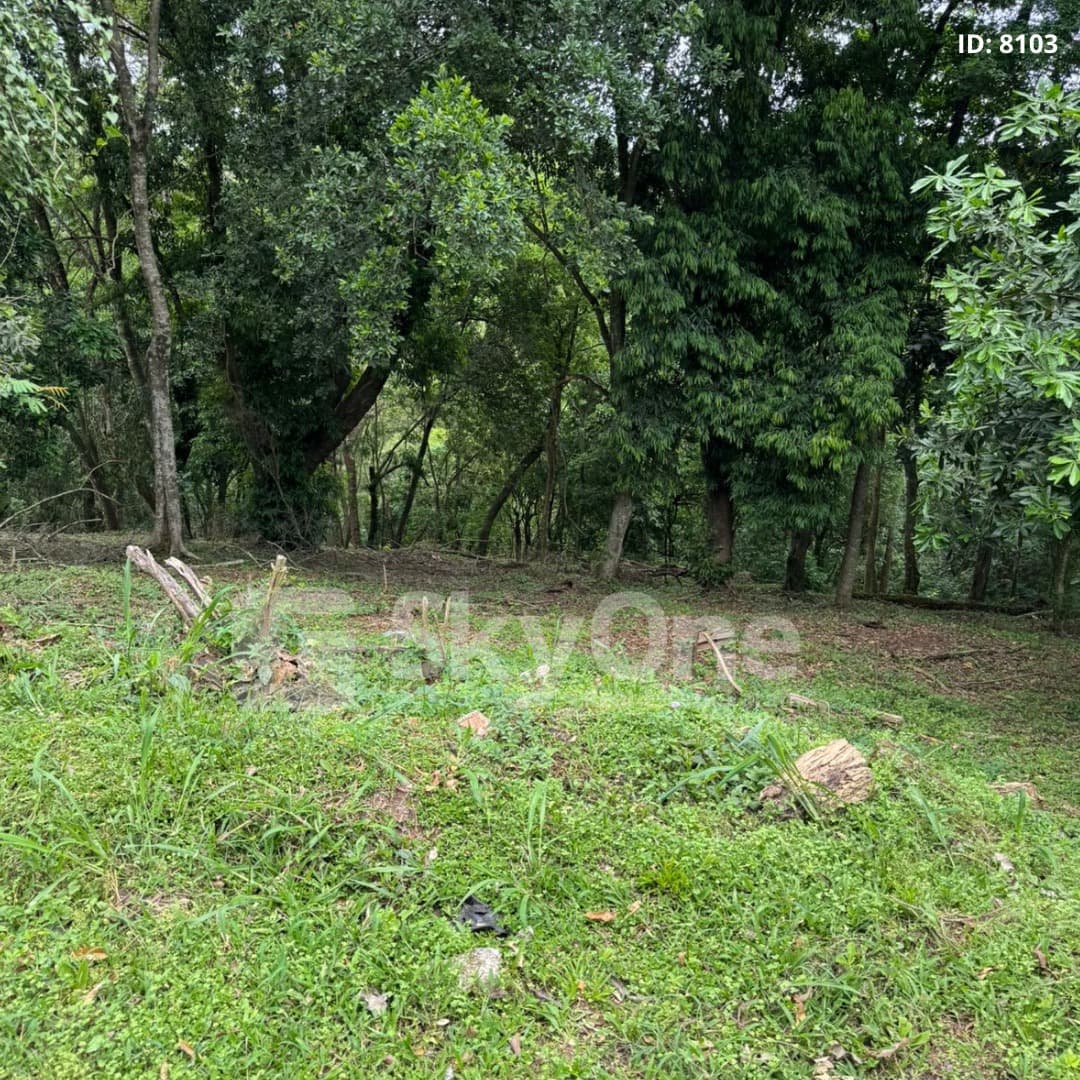 En venta terreno en el parana country club, foto 4