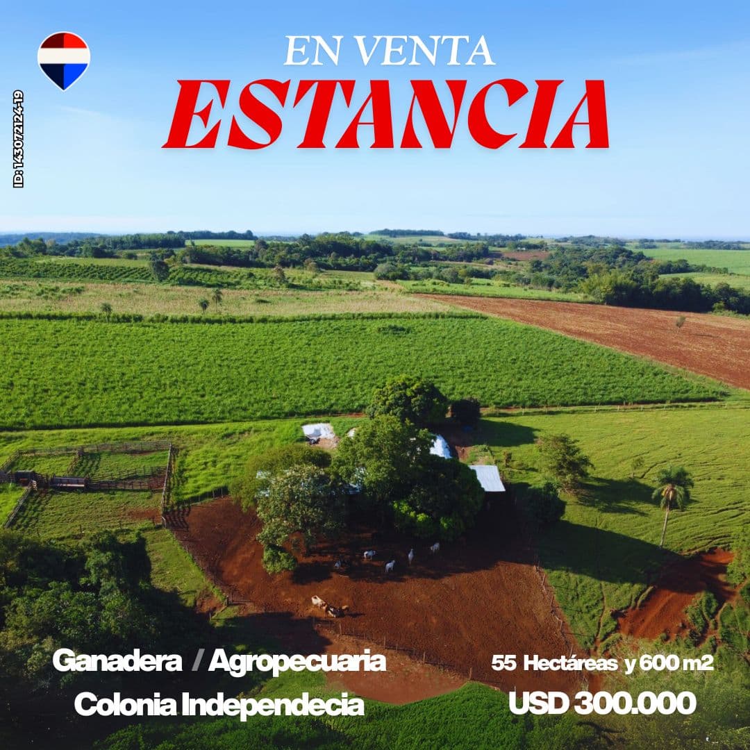Estancia ganadera y agropecuaria, foto 1