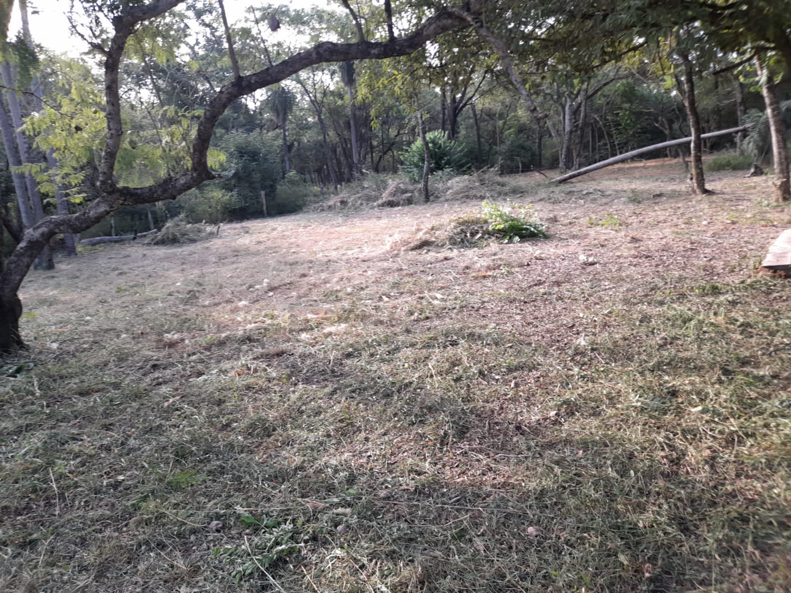 San Bernardino zona ciervo cua a una cuadra de la ruta — foto 3