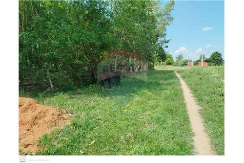 Terreno en venta, ypacarai, foto 4