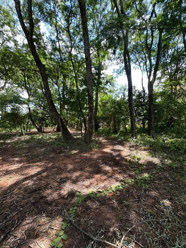EN VENTA – Terreno De 10.780 m² En Fernando de la Mora Zona Sur