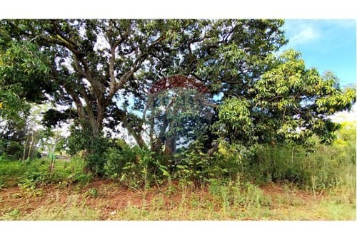 "Terreno en Venta: Luque Zárate Isla "