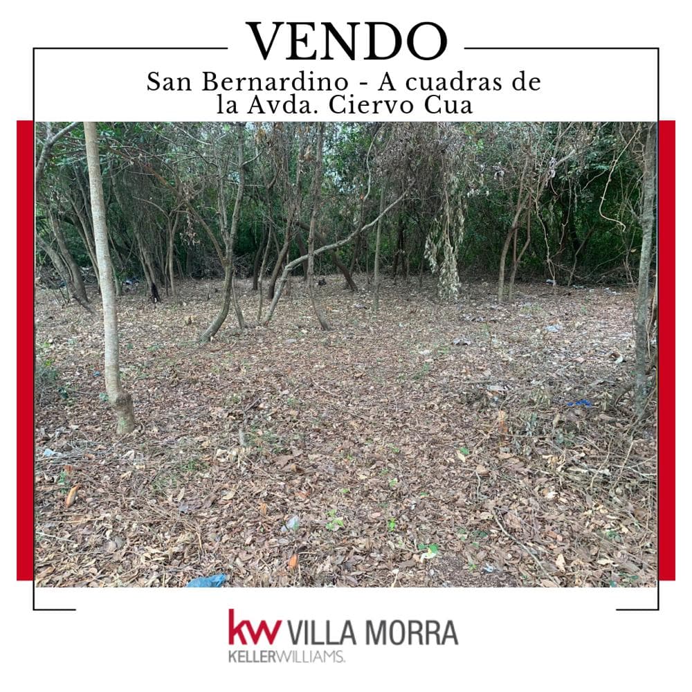 Terreno en San Bernardino, foto 4