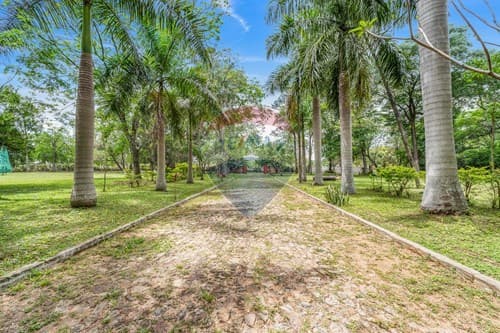 En Venta Granja Ecologica Villasar, En San Bernardino, foto 4