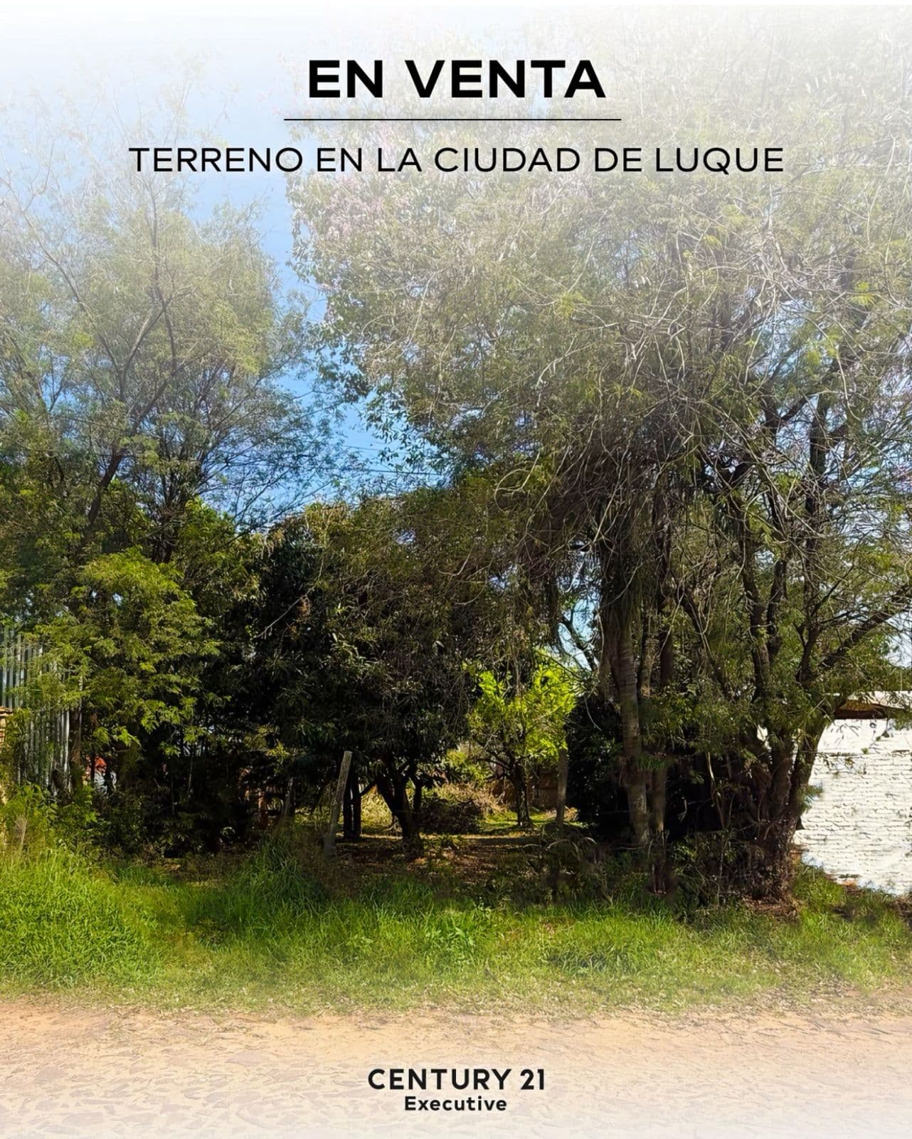 VENDO TERRENO EN Luque (Entrada al Barrio Palma Loma)