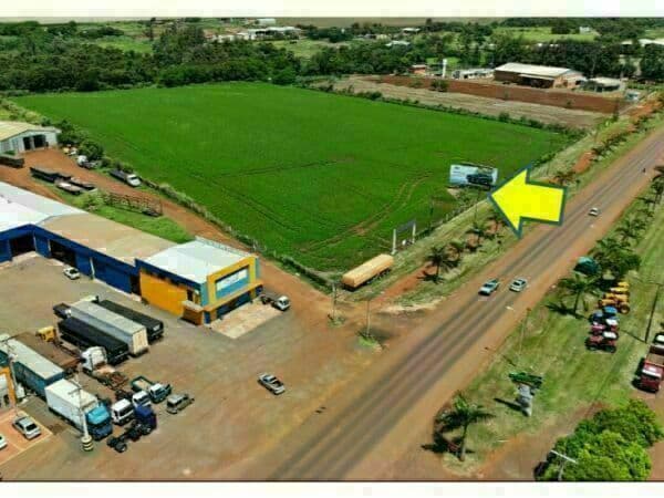 13 hectareas en santa rita, foto 4