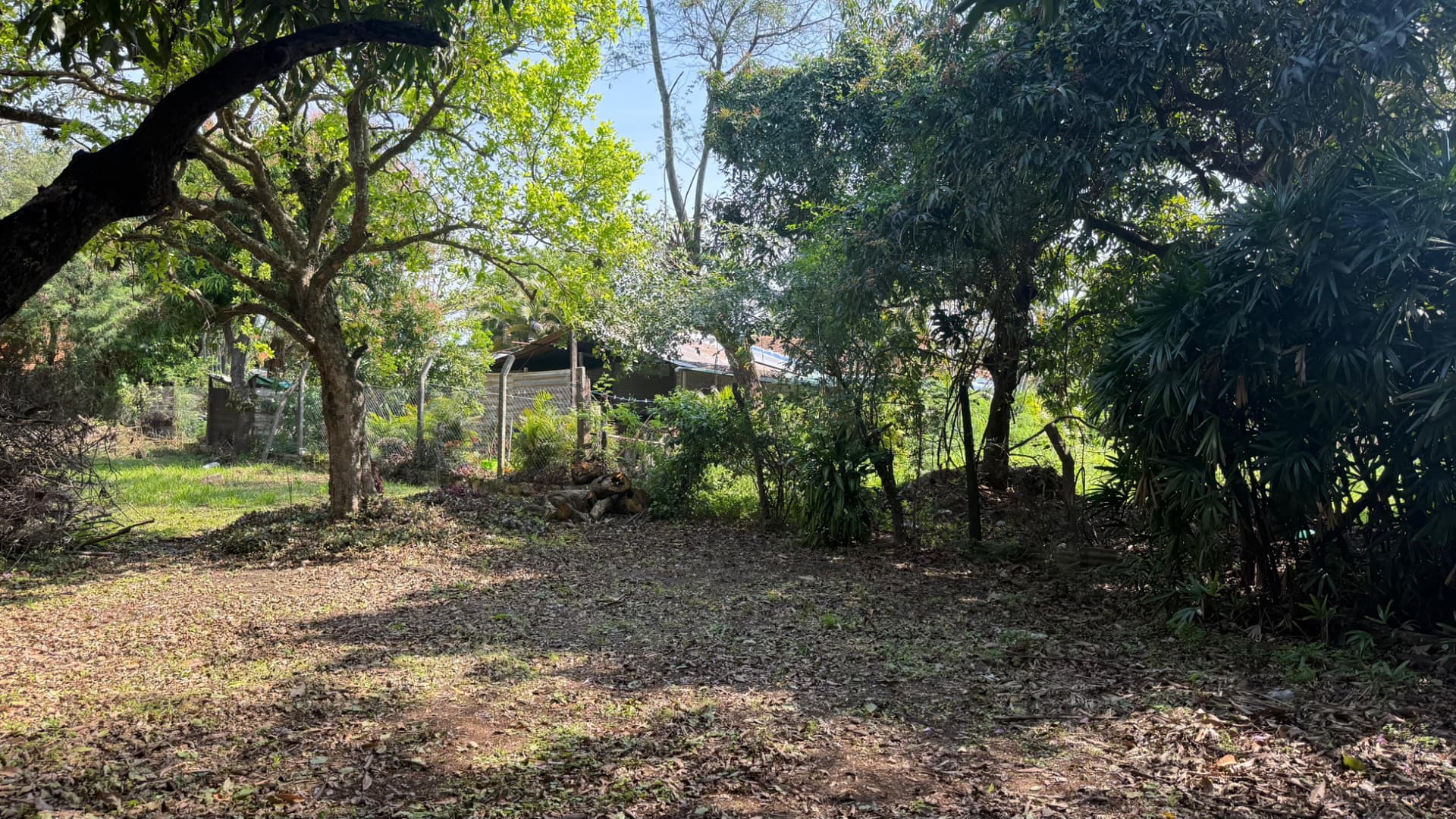 Terreno de 1182 m2 en la entrada de palma loma - Luque, foto 2