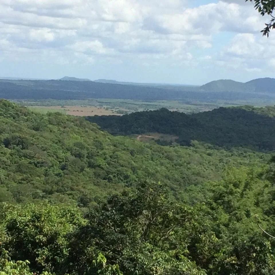 Propiedad de 10 hectáreas en Paraguari zona Mbatovi, foto 2