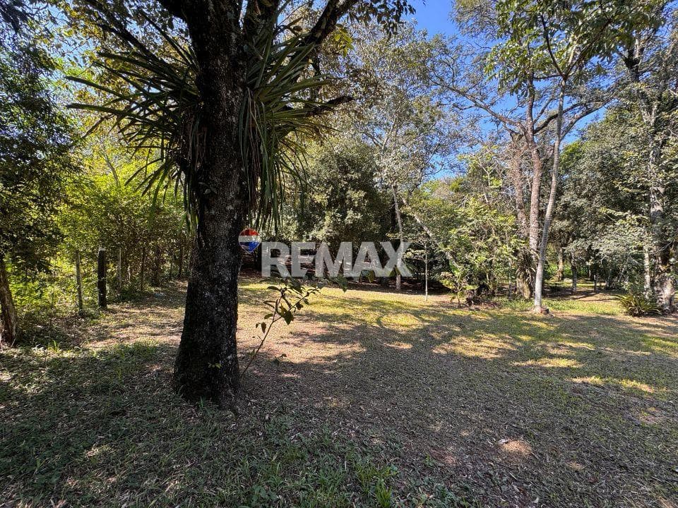 EN VENTA 6.3 HECTÁREAS | Alto potencial de inversión en Alto Paraná, foto 5