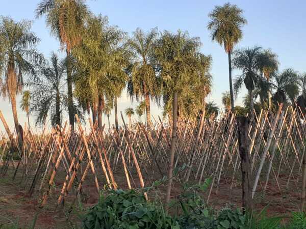⚠️Terreno en venta en VILLETA!
