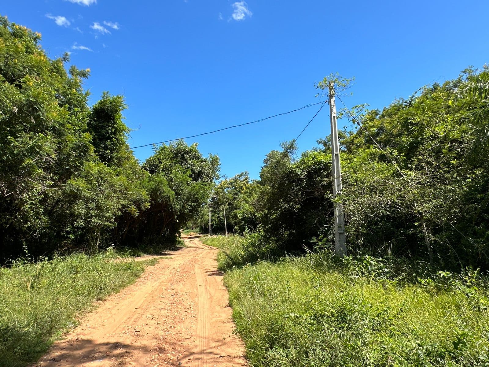 3 LOTES - Ciervo Cua - San Bernardino, foto 4