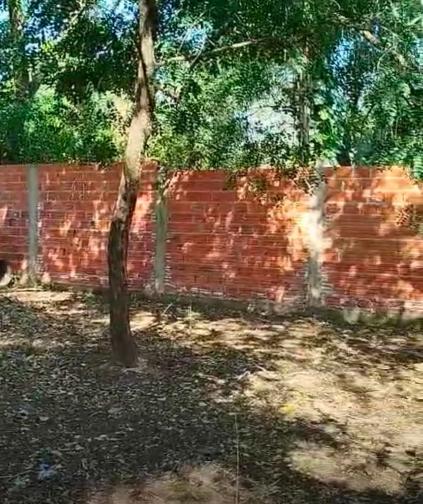 De terreno en centro de San Bernardino, foto 5
