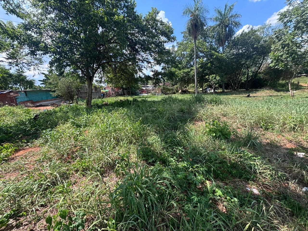 Cañada Garay Vendo terreno sin construcción en Luque, Cañada Garay, foto 3