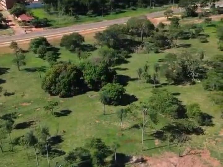 Terreno de 4 hectareas en horqueta, foto 2