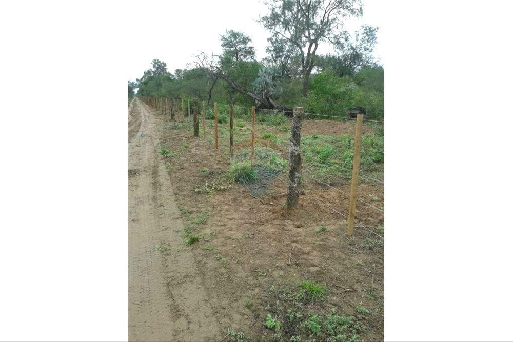 Terreno de 7.425 Hectáreas en Pozo Hondo, Boquerón — foto 5