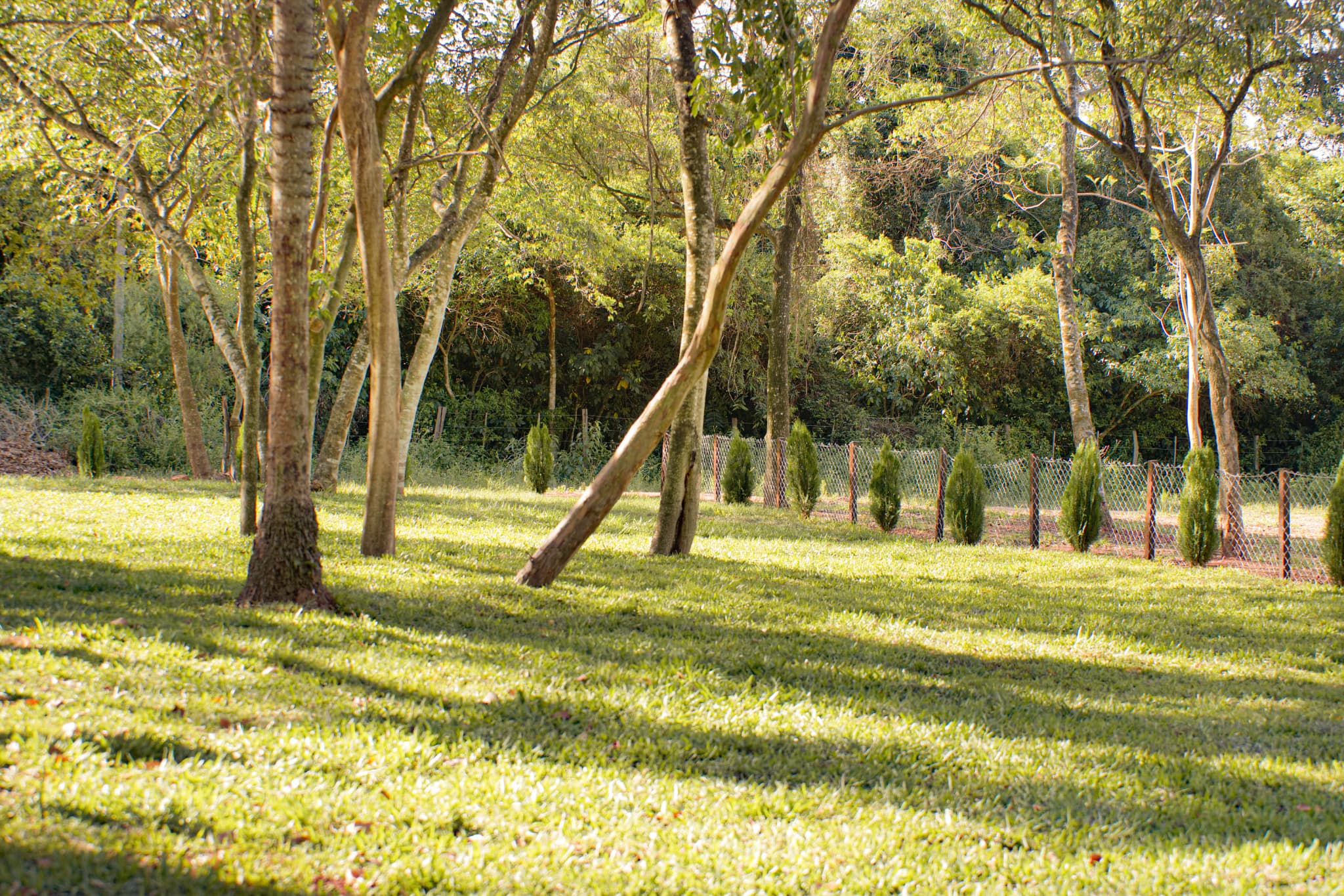 Tu lugar de descanso rodeado de naturaleza, foto 3
