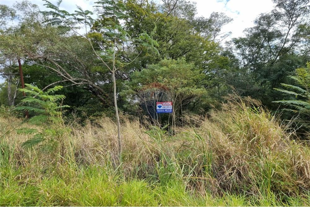 Terreno venta Mariano Roque Alonso Surubi'i, foto 4
