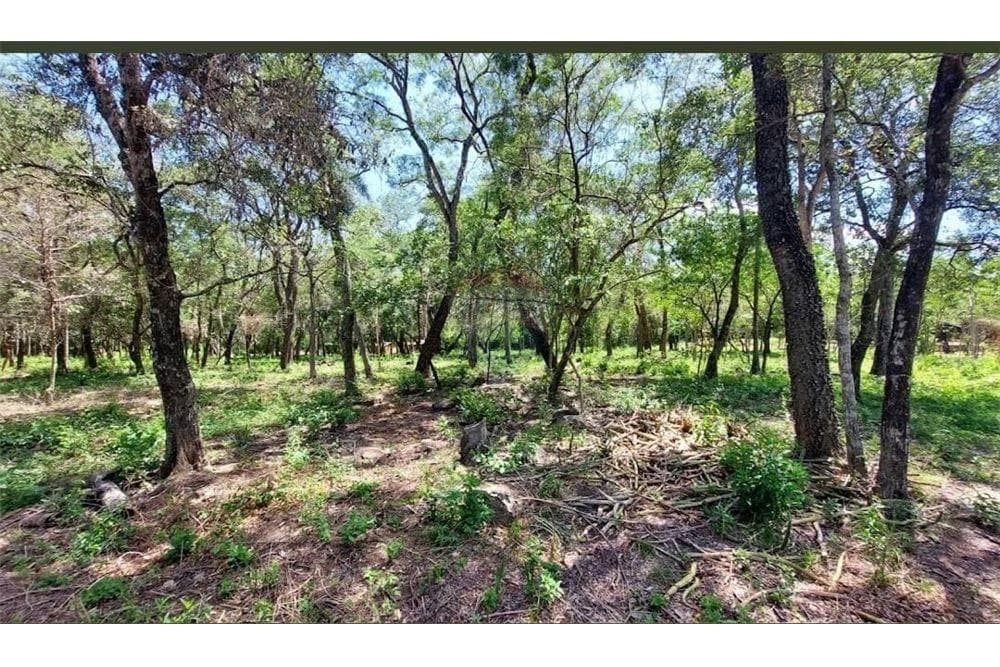 Terreno en Luque San Bernardino, foto 2