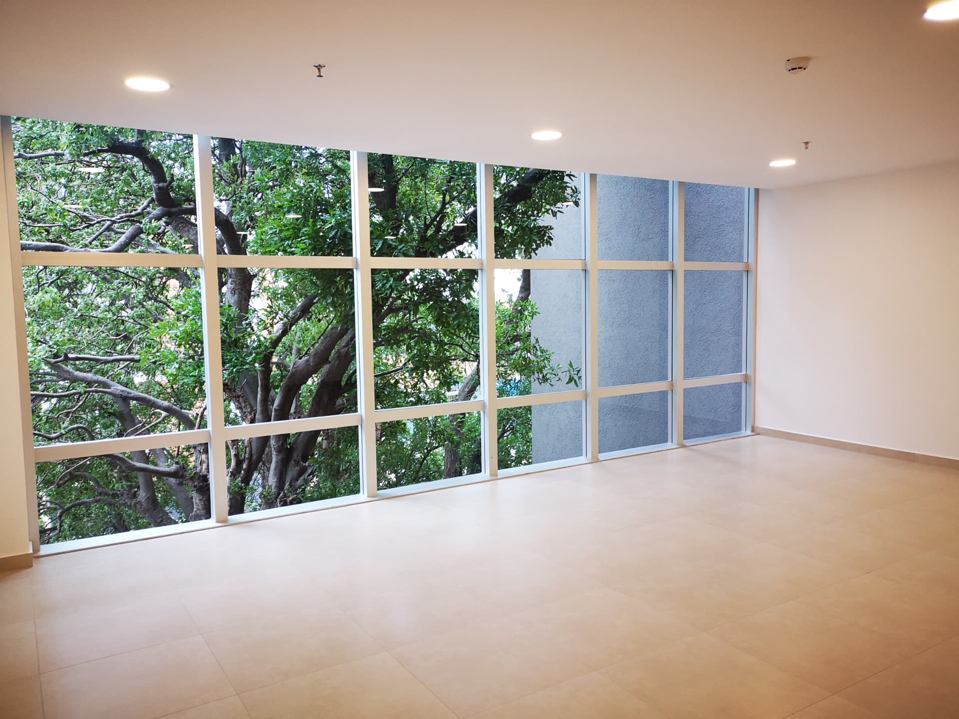 Inversión! Oficina De Gran Vista En El Centro, foto 5