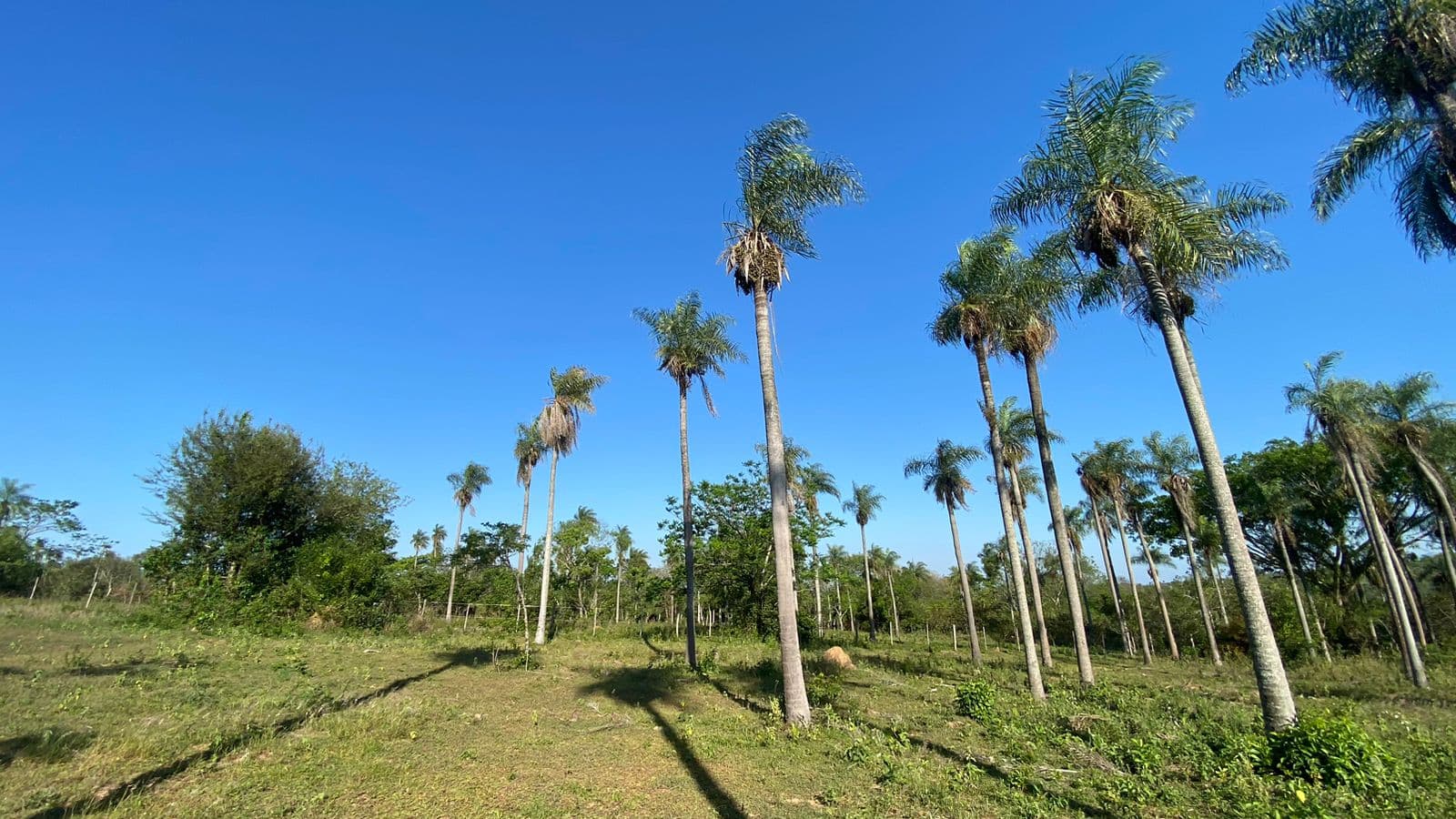 Terreno Z/ Ruta Altos Atyra, foto 1