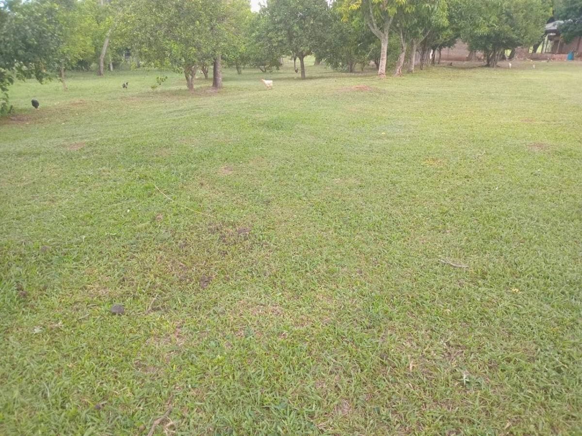 Hermosa granja de 5 has en piribebuy, foto 4