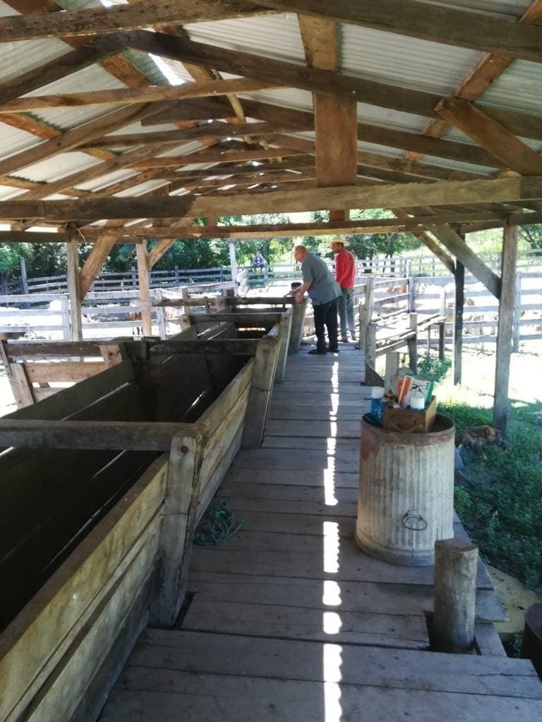 estancia en Caapucu - Departamento de Paraguarí — foto 1