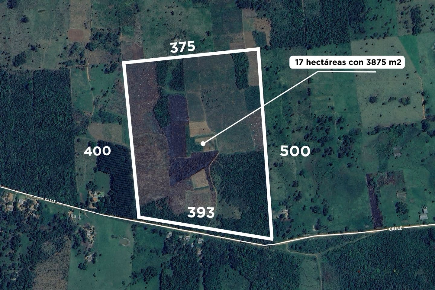 Terreno en venta - san pedro — foto 2