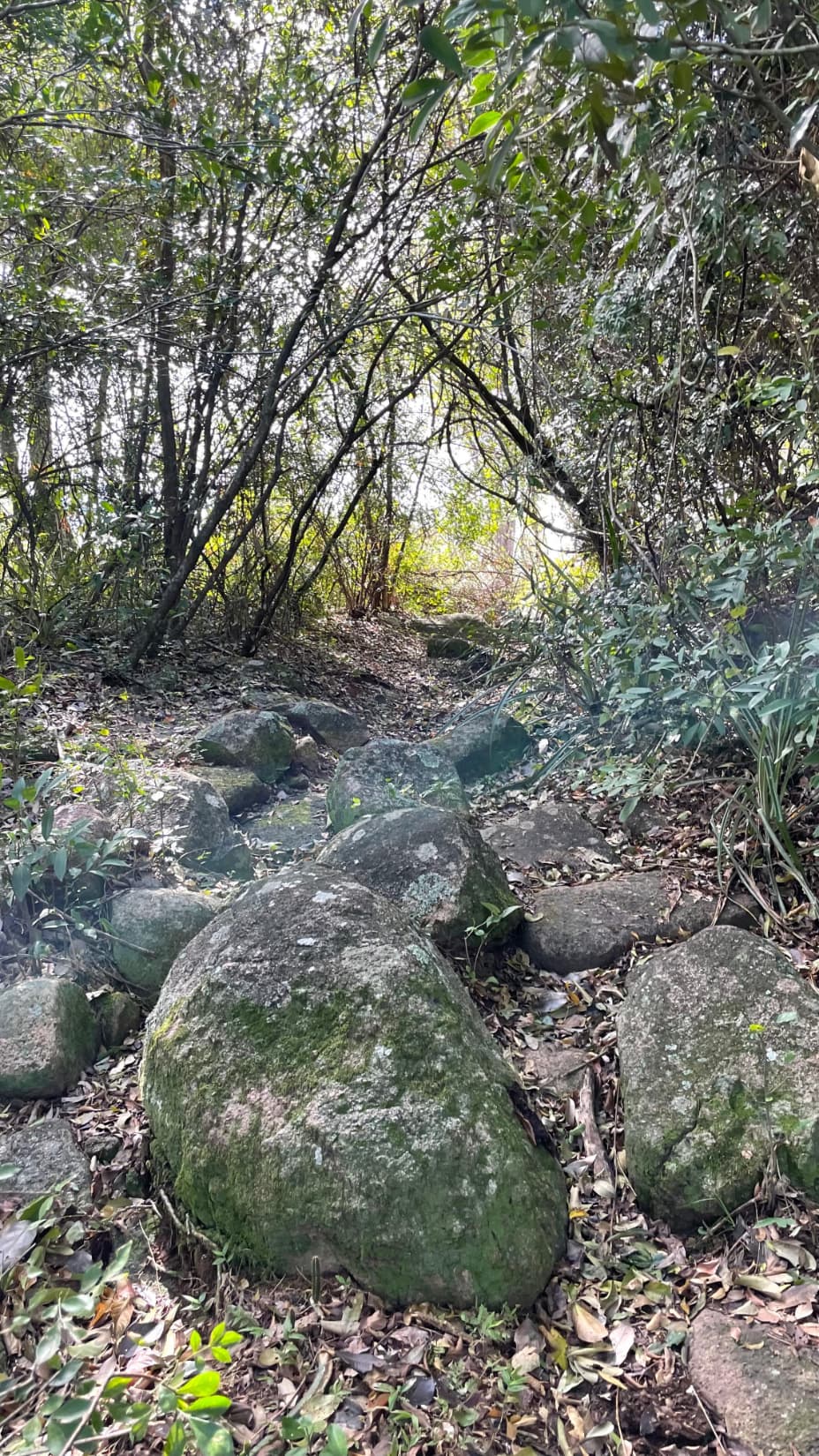 19 hectáreas en Quiindy con hermoso arroyo, foto 5