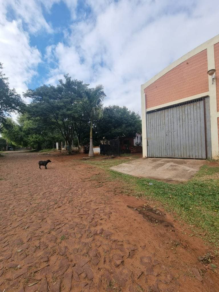 Tinglado en capiata, foto 2