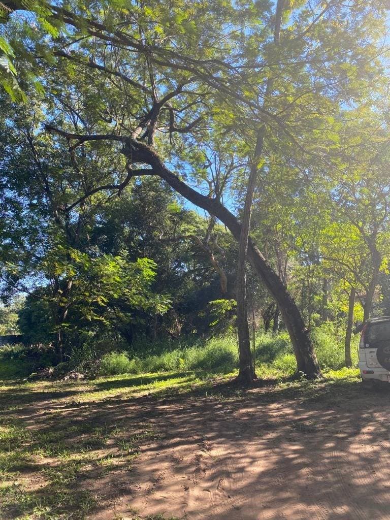 En VENTA hermoso terreno en San Bernardino, foto 5