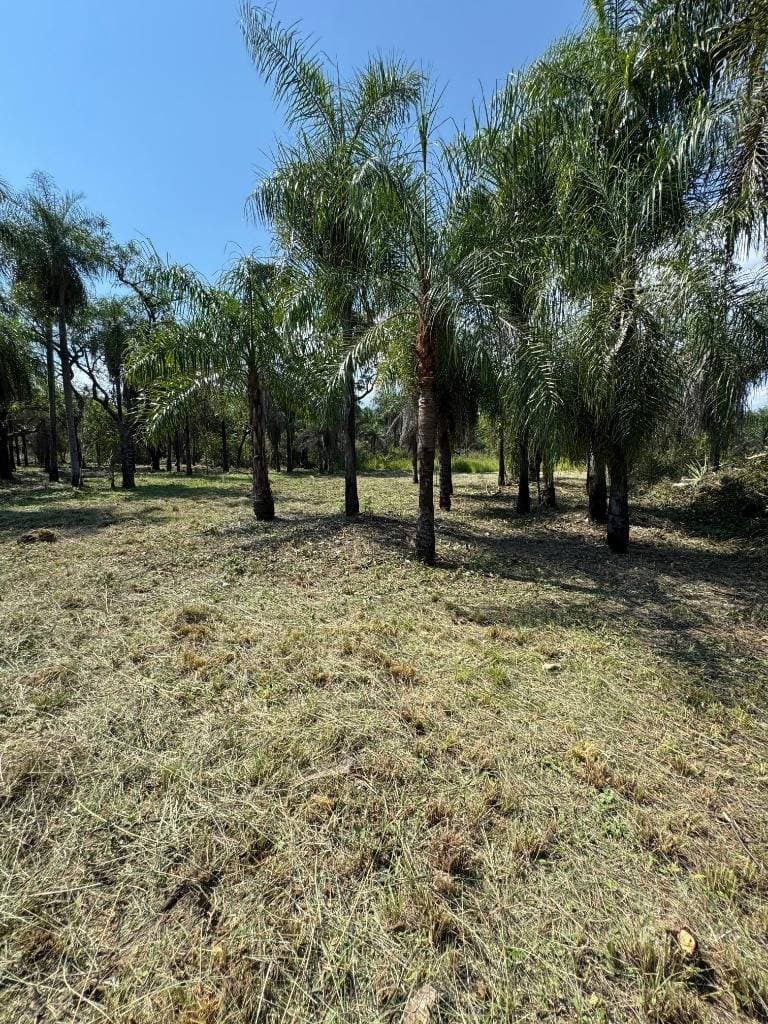 terreno en San Bernardino zona Ciervo Cua, foto 3