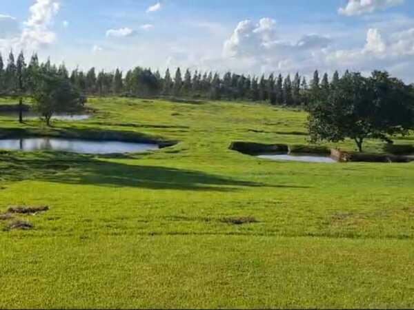 En venta 14 hectareas en hernandarias, foto 2