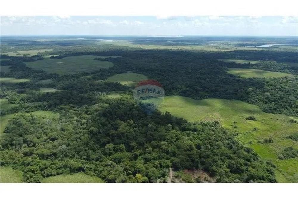 En venta campo de 399 Hectáreas en San Pedro, foto 2